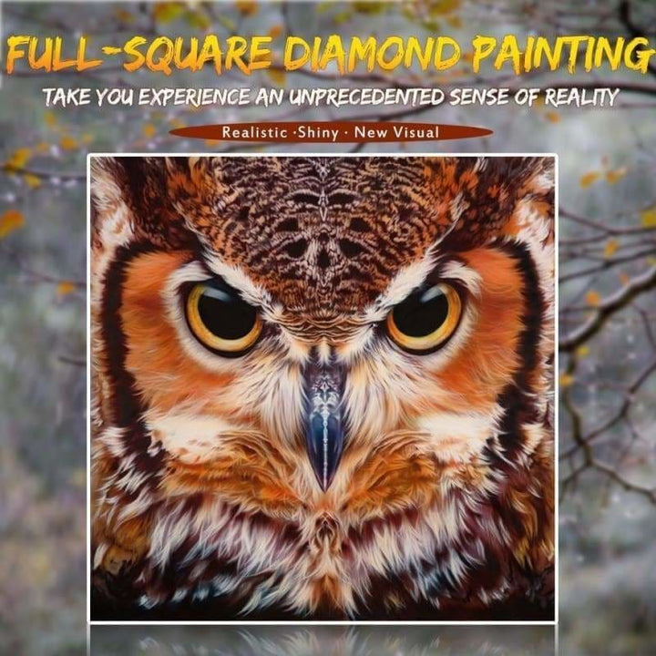Full Drill - 5D DIY Diamond Painting Kits Cartoon Cool Owl