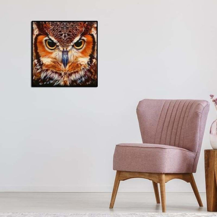 Full Drill - 5D DIY Diamond Painting Kits Cartoon Cool Owl