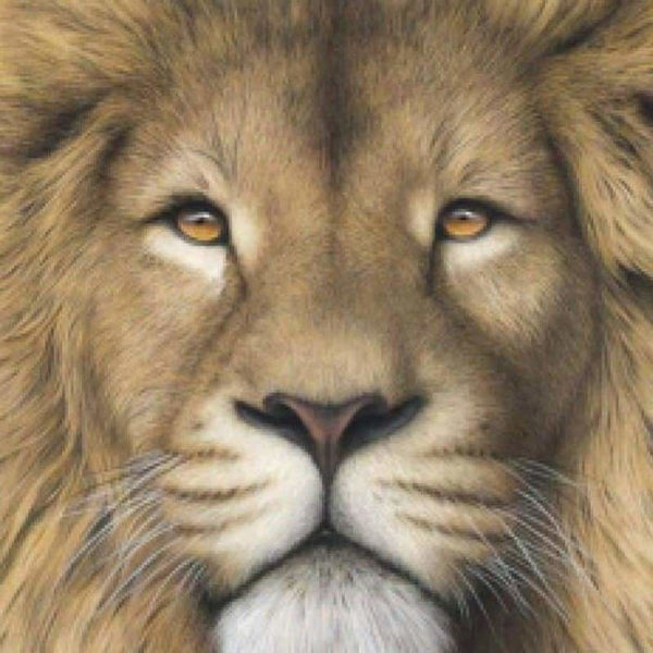 Full Drill - 5D DIY Diamond Painting Kits Cartoon Lion Face