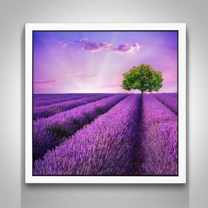 Full Drill - 5D DIY Diamond Painting Kits Lavender Fields 