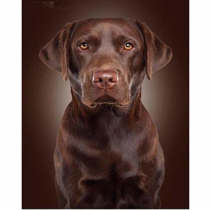 Full Drill - 5D DIY Diamond Painting Kits Pet Cute Black Dog