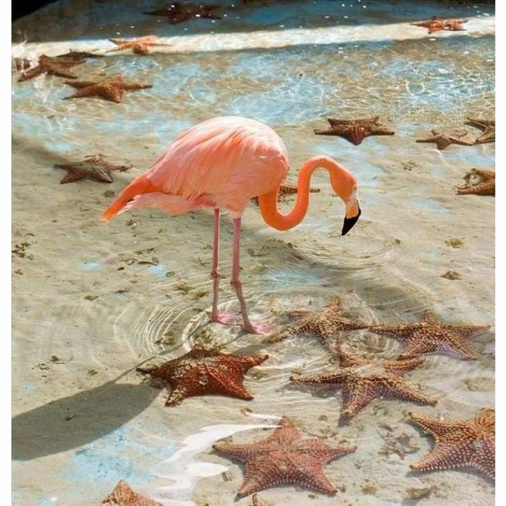 Full Drill - 5D DIY Diamond Painting Kits Pink Flamingo 