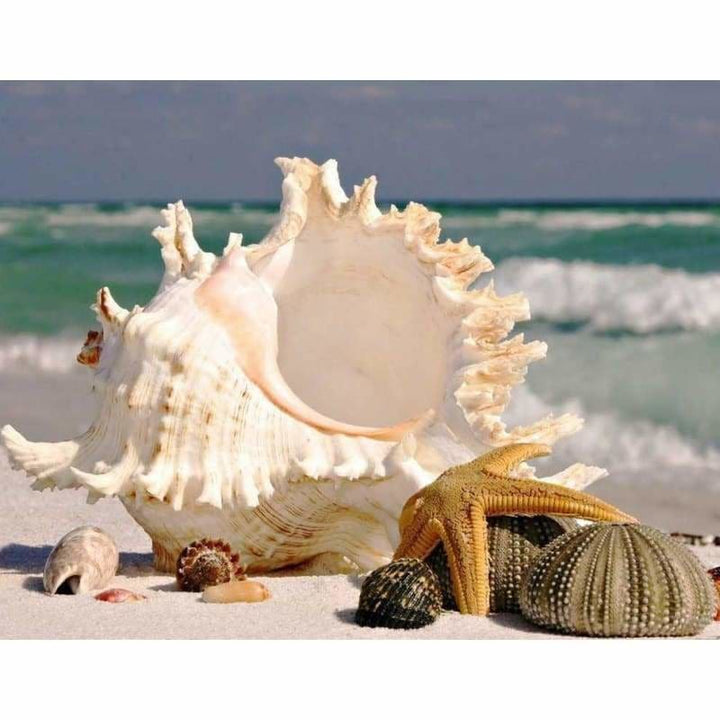 Full Drill - 5D DIY Diamond Painting Kits Sea Shell Starfish