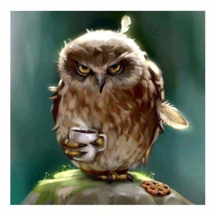 Full Drill - 5D DIY Diamond Painting Kits Watercolor Owl 