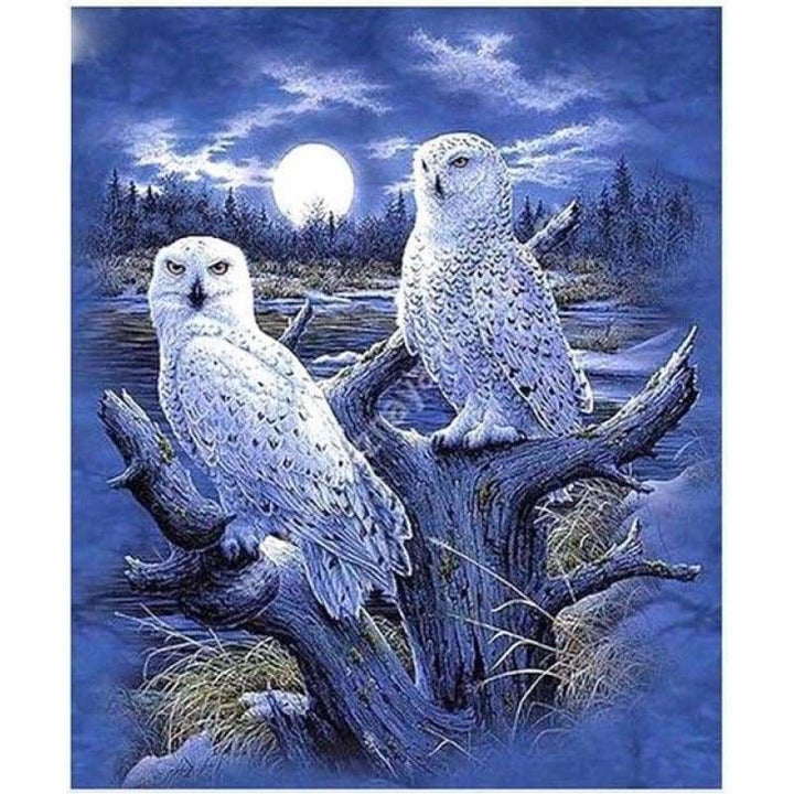 Full Drill - 5D DIY Diamond Painting Winter Moon Animal Owls