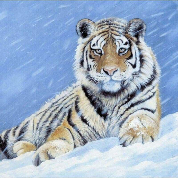 Full Drill - 5D DIY Diamond Painting Winter Tiger’s Gaze - 