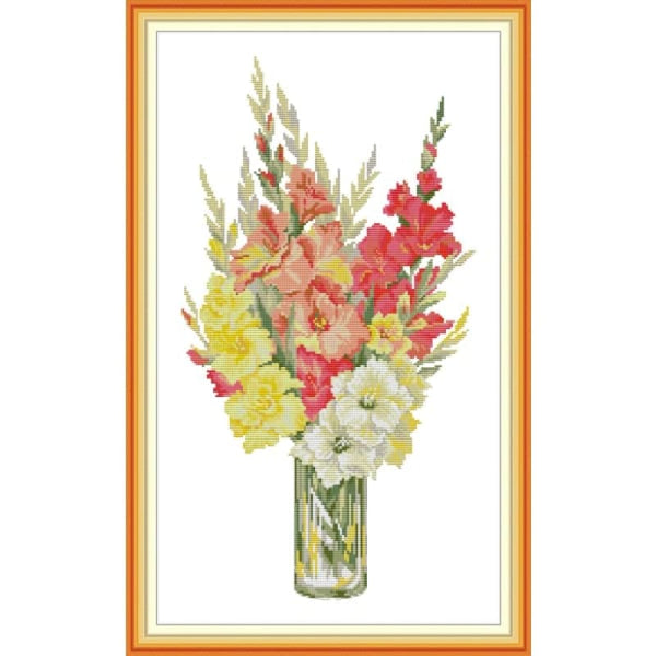 Gladiolus