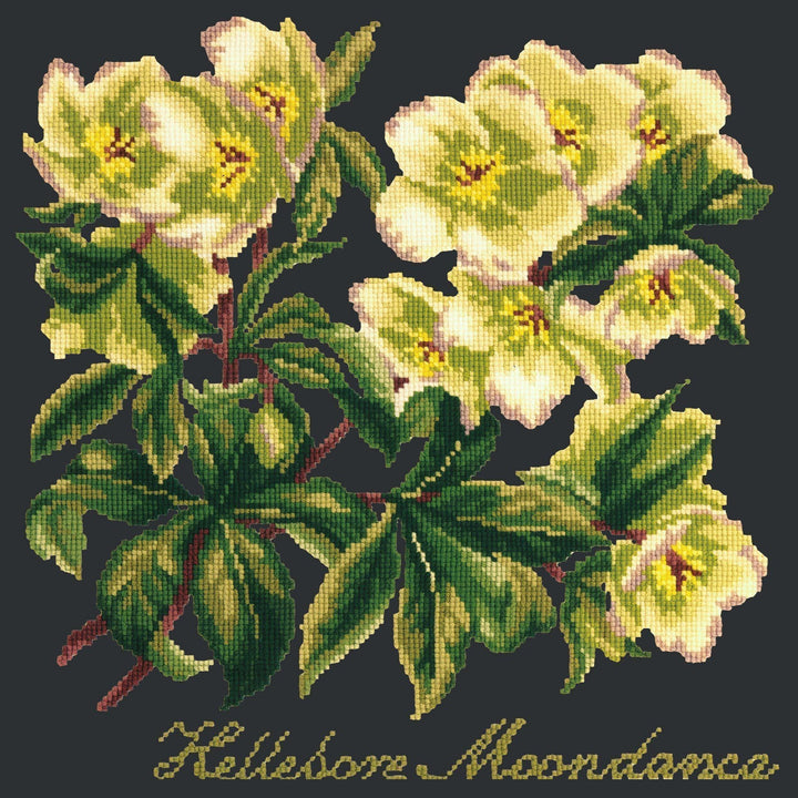 Hellebore Moondance - NEEDLEWORK KITS