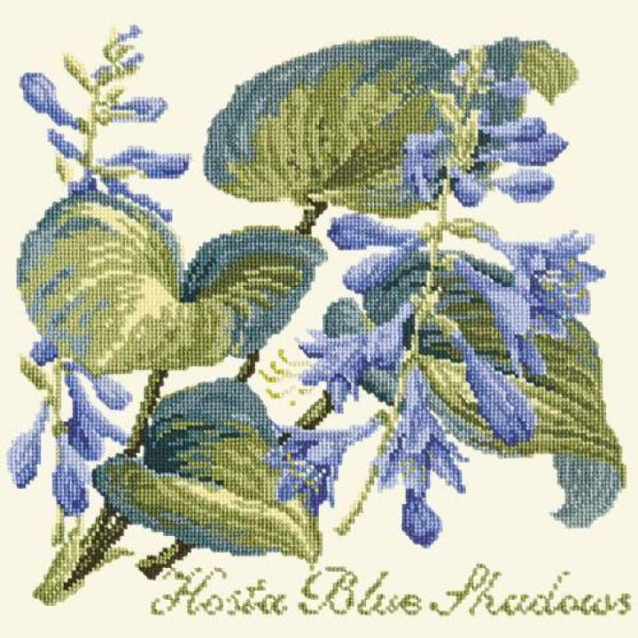 Hosta Blue Shadows - NEEDLEWORK KITS