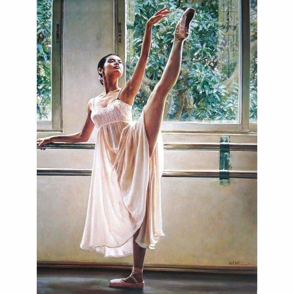 Hot Sale Ballet Dancer d Diy Diamond Painting Kits NA0907 - 