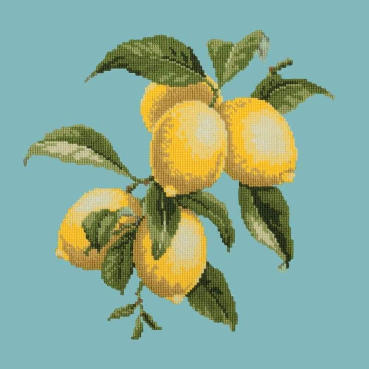 Lemons - NEEDLEWORK KITS