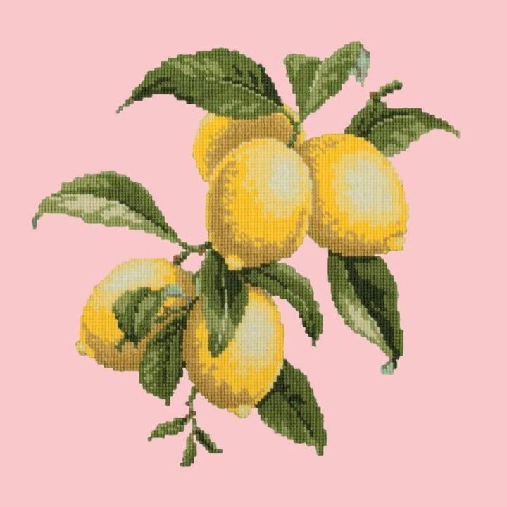Lemons - NEEDLEWORK KITS