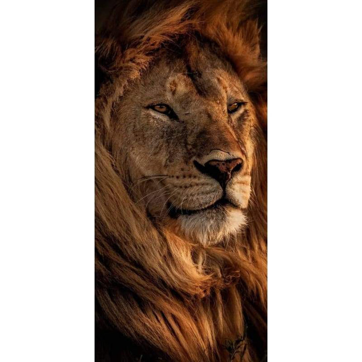 Lion Close up- Full Drill Diamond Painting - Special Order -