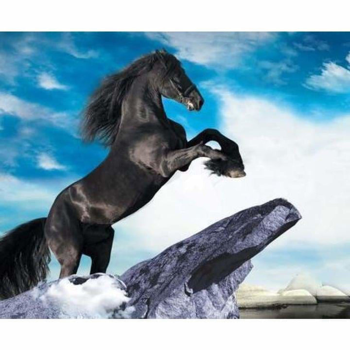 Modern Art Animal Black Horse Pattern Full Drill - 5D Diy 