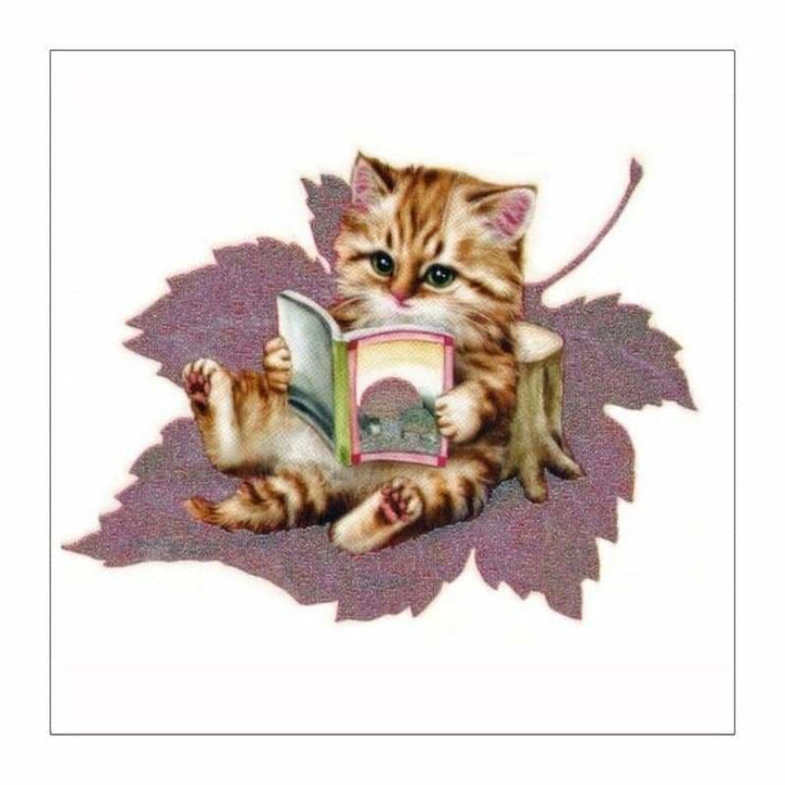 Full Drill - 5D DIY Diamond Painting Kits Funny Cute Cat Reading - NEEDLEWORK KITS