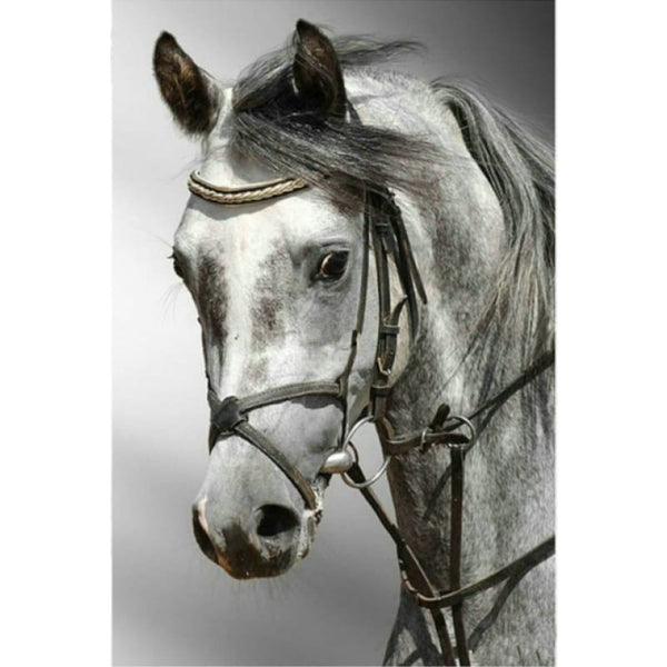 New Hot Sale Horse Picture Full Drill - 5D Diy Diamond 