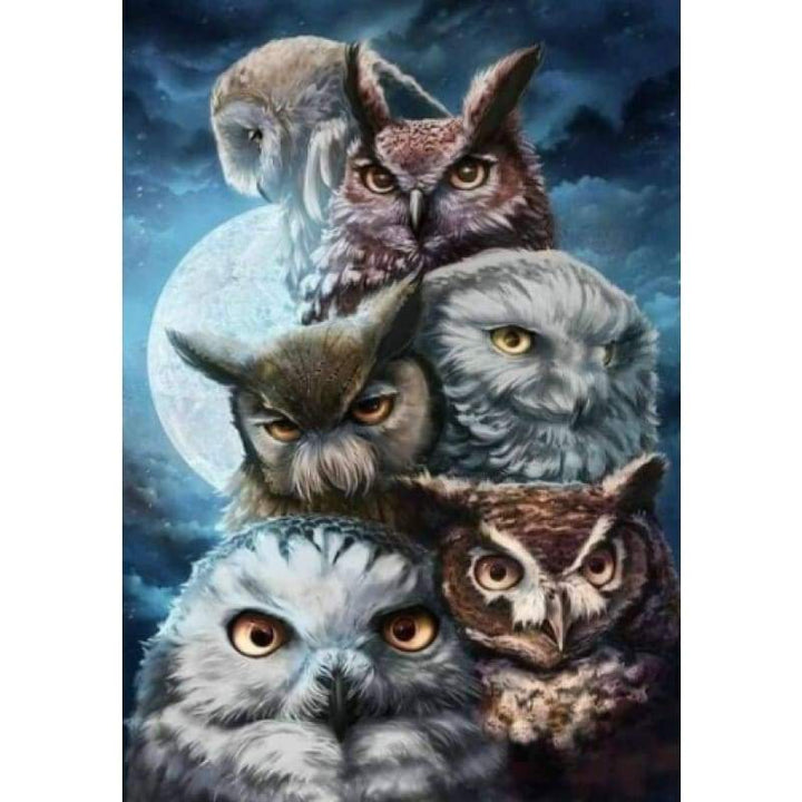 Owls Galore- Full Drill Diamond Painting - Special Order - 