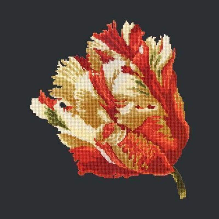 Parrot Tulip - NEEDLEWORK KITS