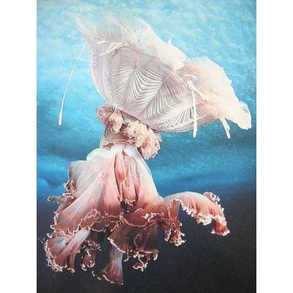 Full Drill - 5D Diamond Painting Kits Special Pink Jellyfish - NEEDLEWORK KITS