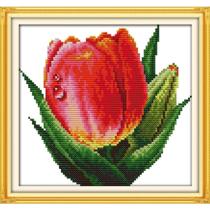 Red Tulip