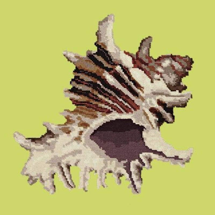 Spiky Conch - NEEDLEWORK KITS