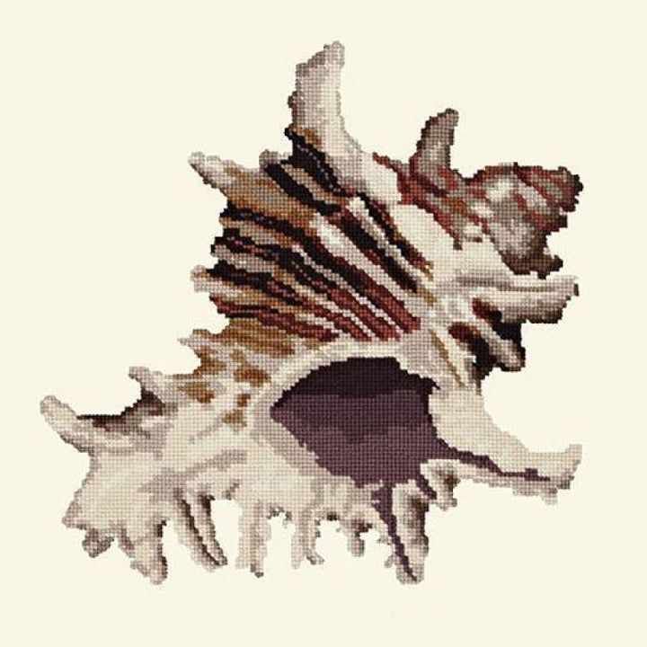Spiky Conch - NEEDLEWORK KITS