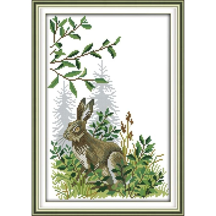 The rabbit in the forest