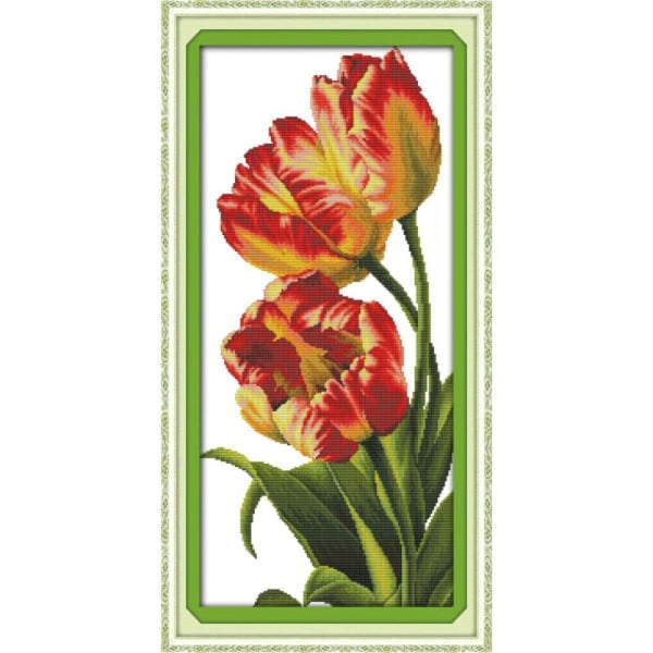 Tulip (4)