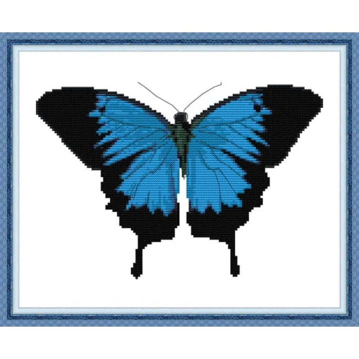 ULYSSES BUTTERFLY