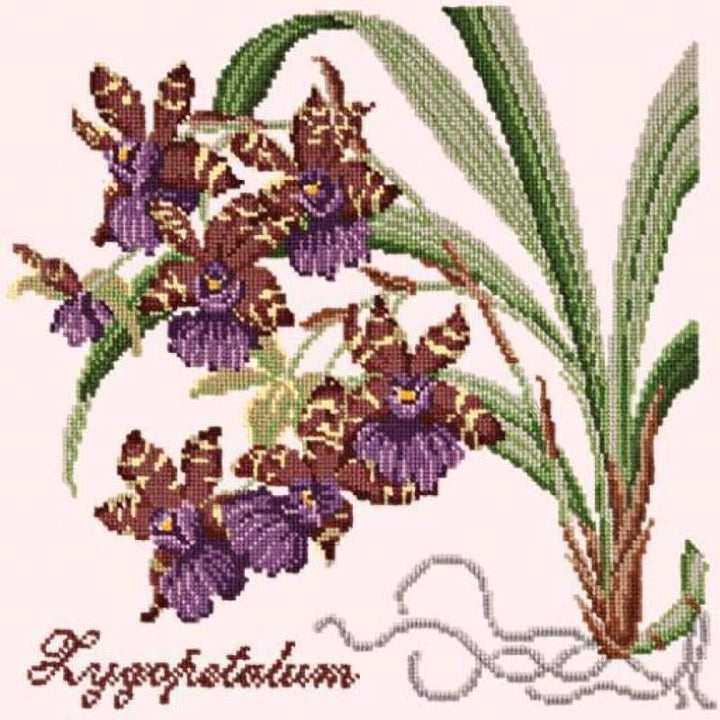 Zygopetalum (Ladybird Orchid) - NEEDLEWORK KITS